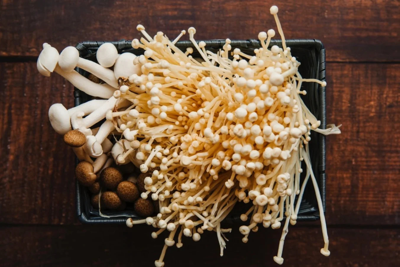 Mushroom Gummies: A Delicious and Nutritious Treat